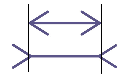 Muller-Lyer measured